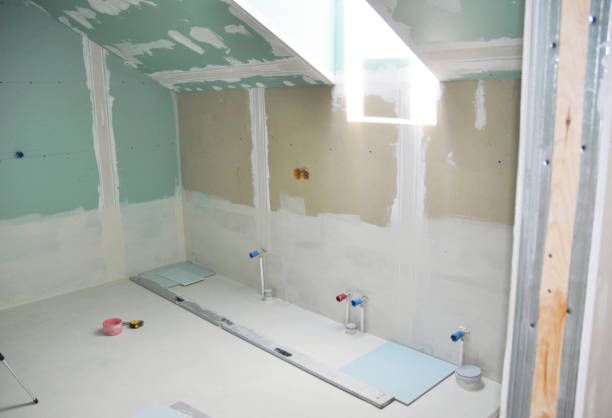 Biohazard Mold Removal in Hinckley, IL