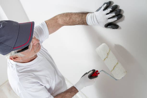 Best Air Quality Testing for Mold Spores  in Hinckley, IL