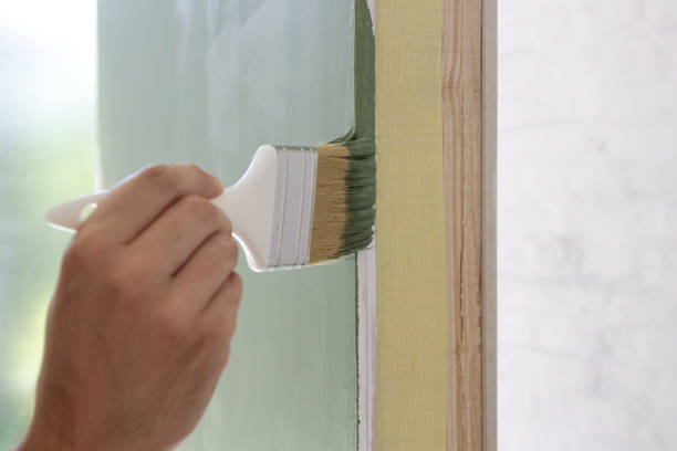 Best Mold Documentation for Insurance Claims  in Hinckley, IL
