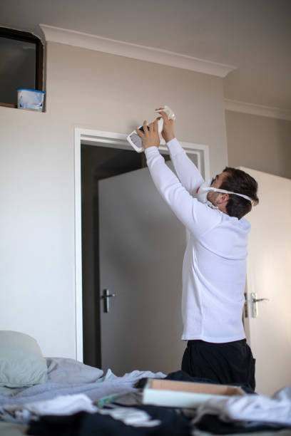 Best Forensic Mold Investigation  in Hinckley, IL