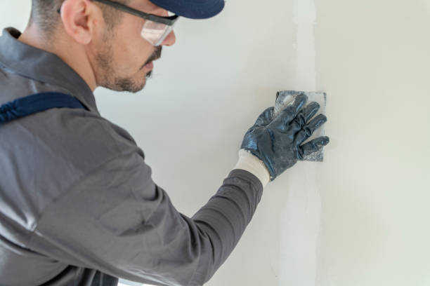 Best Post-Remediation Verification Testing  in Hinckley, IL