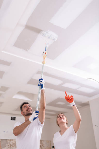 Best Mold Prevention Services  in Hinckley, IL