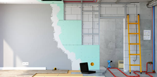 Best Mold Remediation for Healthcare Facilities  in Hinckley, IL
