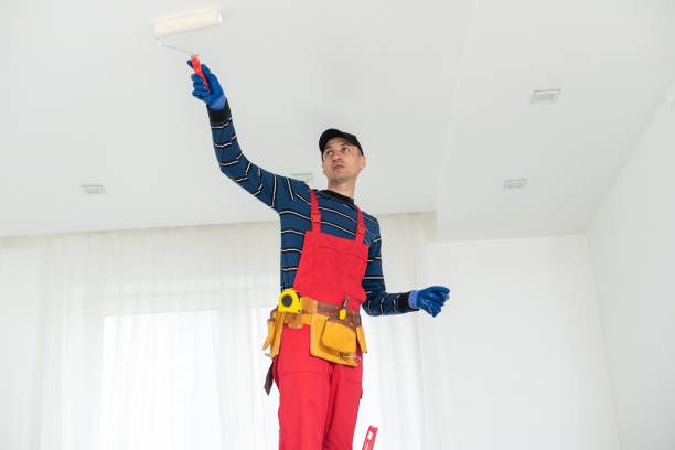  Hinckley, IL Mold Removal Pros