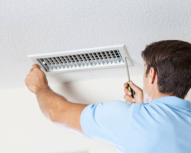 Mold Odor Removal Services in Hinckley, IL