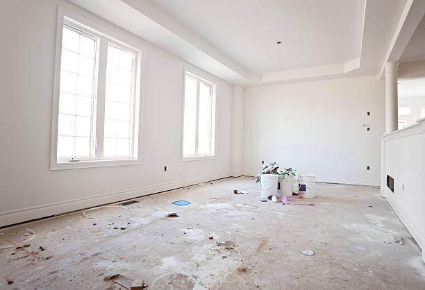 Best Industrial Mold Remediation  in Hinckley, IL