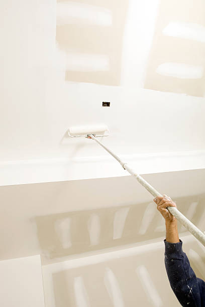 Best Post-Construction Mold Inspection  in Hinckley, IL