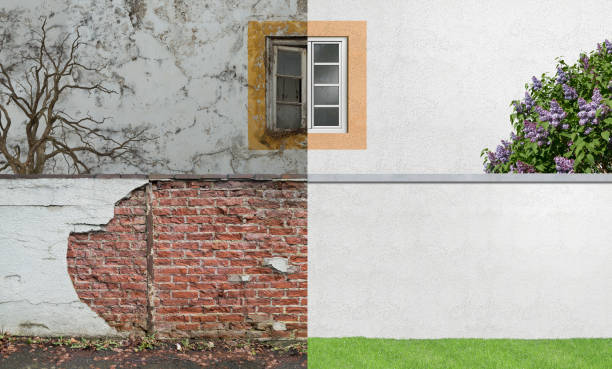 Hinckley, IL Mold Removal Company