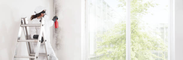 Best Air Quality Testing for Mold Spores  in Hinckley, IL