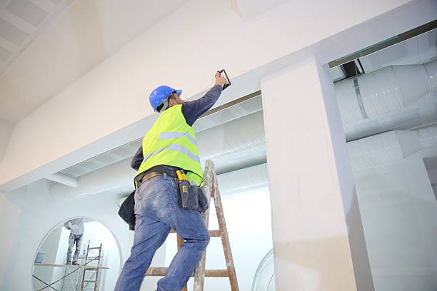 Best Dehumidification Services  in Hinckley, IL