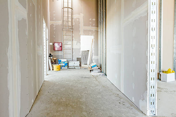 Best Mold Damage Restoration  in Hinckley, IL
