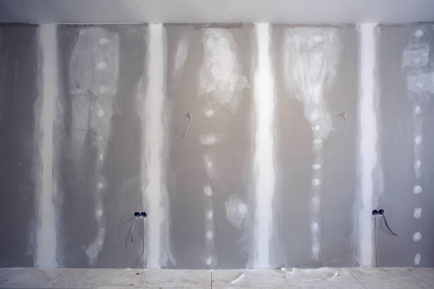 Best Attic Mold Removal  in Hinckley, IL
